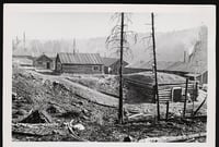 Logging camp with a mixed log-and-sod cabin behind logged and barely standing pine trees with more log cabins in the background.